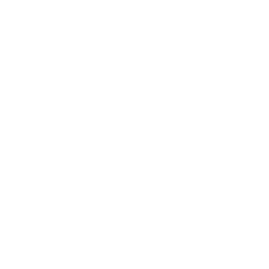 4.0.Luddy Tick White